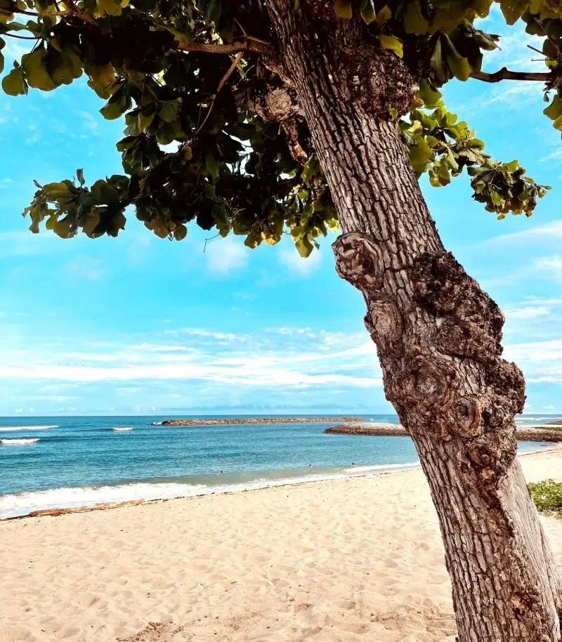 nusa dua beach